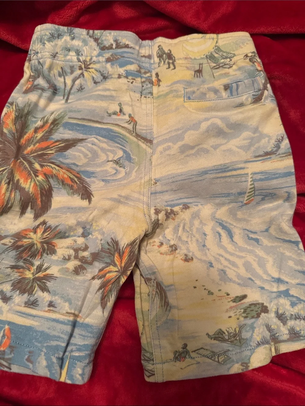 Ralph Lauren Palm Print Shorts in Light Blue and Orange